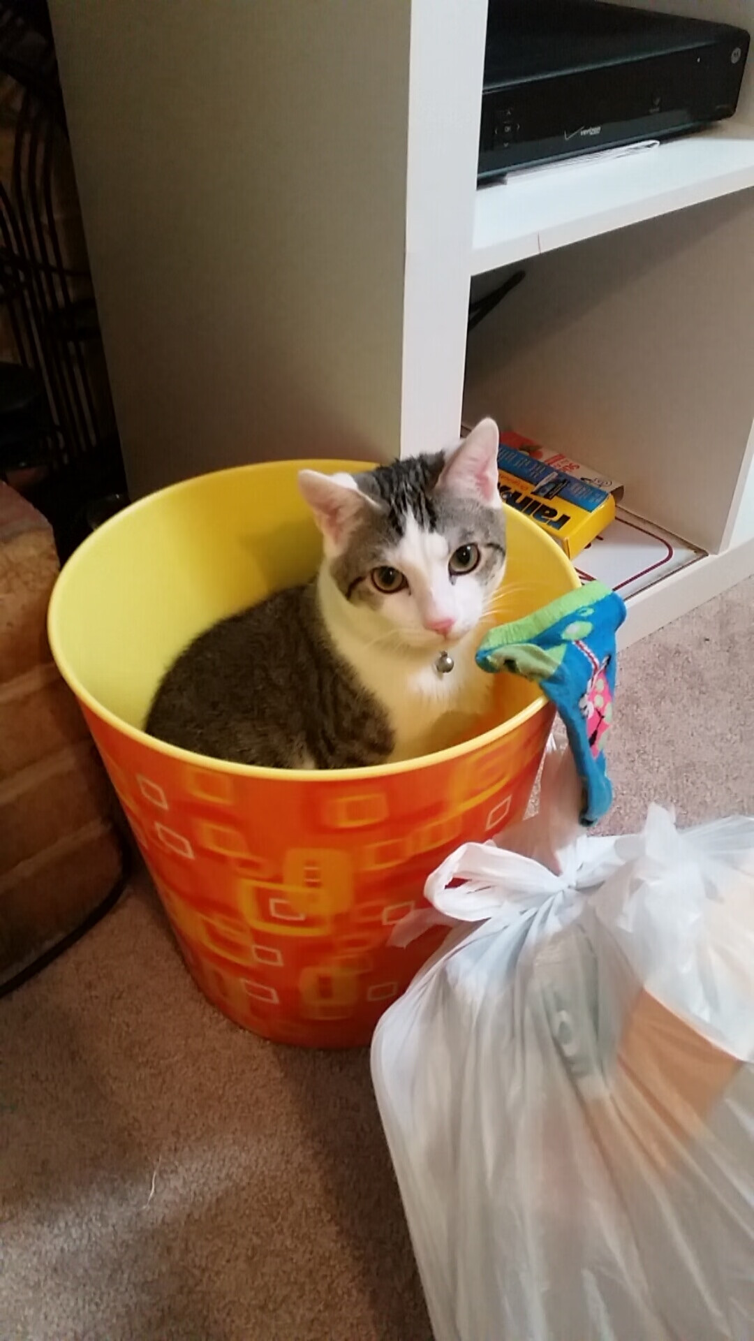 世界山地车锦标赛中国女将首次斩金,山地自行车女子冠军