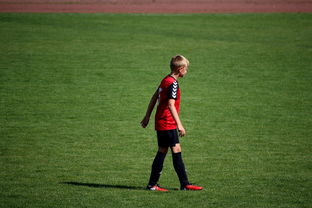 开云体育-世界拳击青年赛中国选手勇夺金腰带，世界拳击表演赛