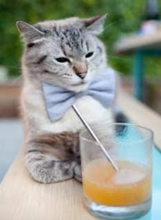 世界斯诺克锦标赛丁俊晖无缘四强,世界斯诺克锦标赛丁俊晖第一轮