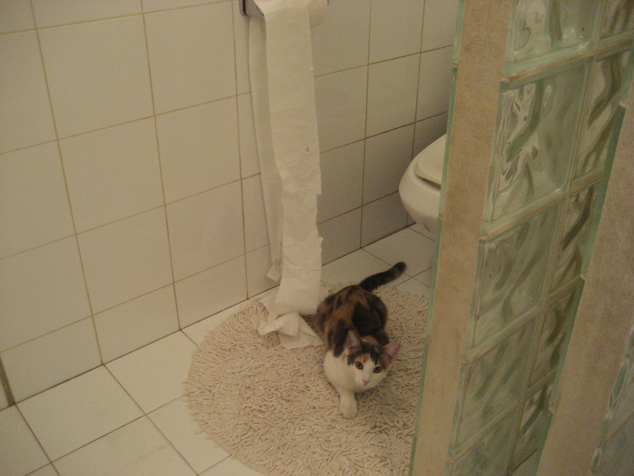 中超是否推动打造主场文化节庆氛围,中超举办场地